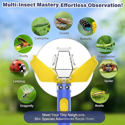 Safe insect observation tool for kids